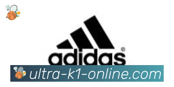 k1体育合作伙伴